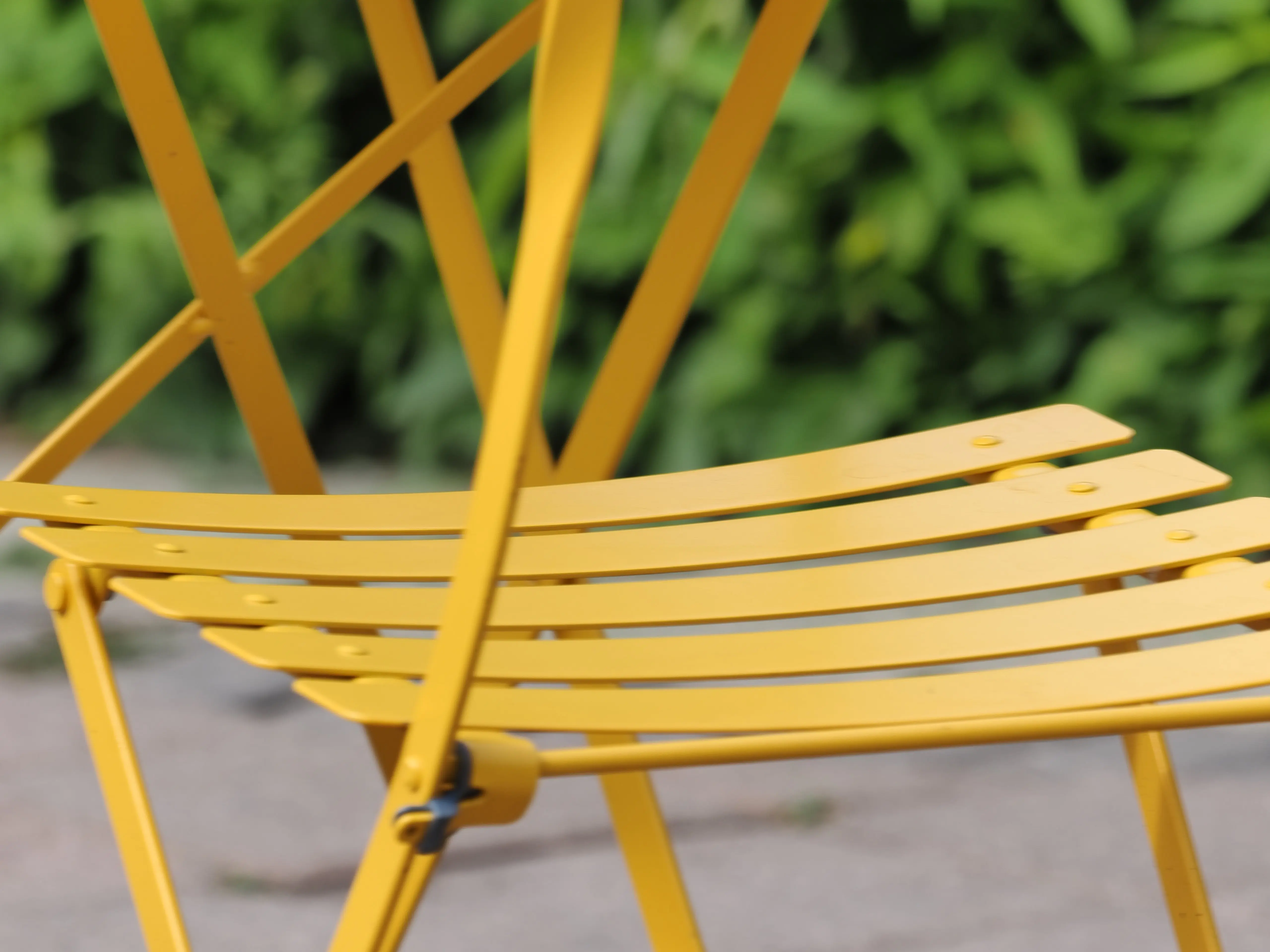 P7115172-crop.webp