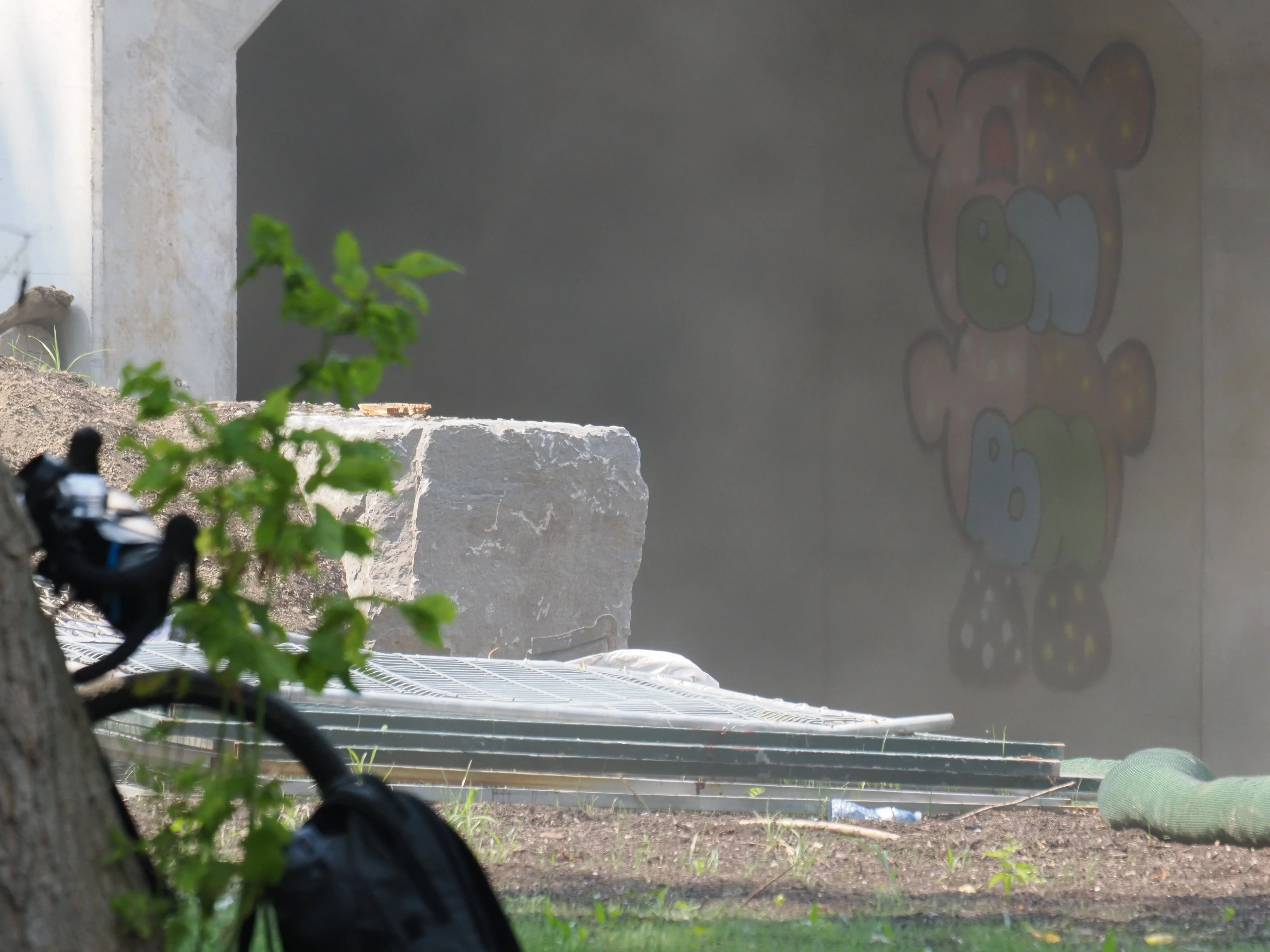 P8040276_crop.webp