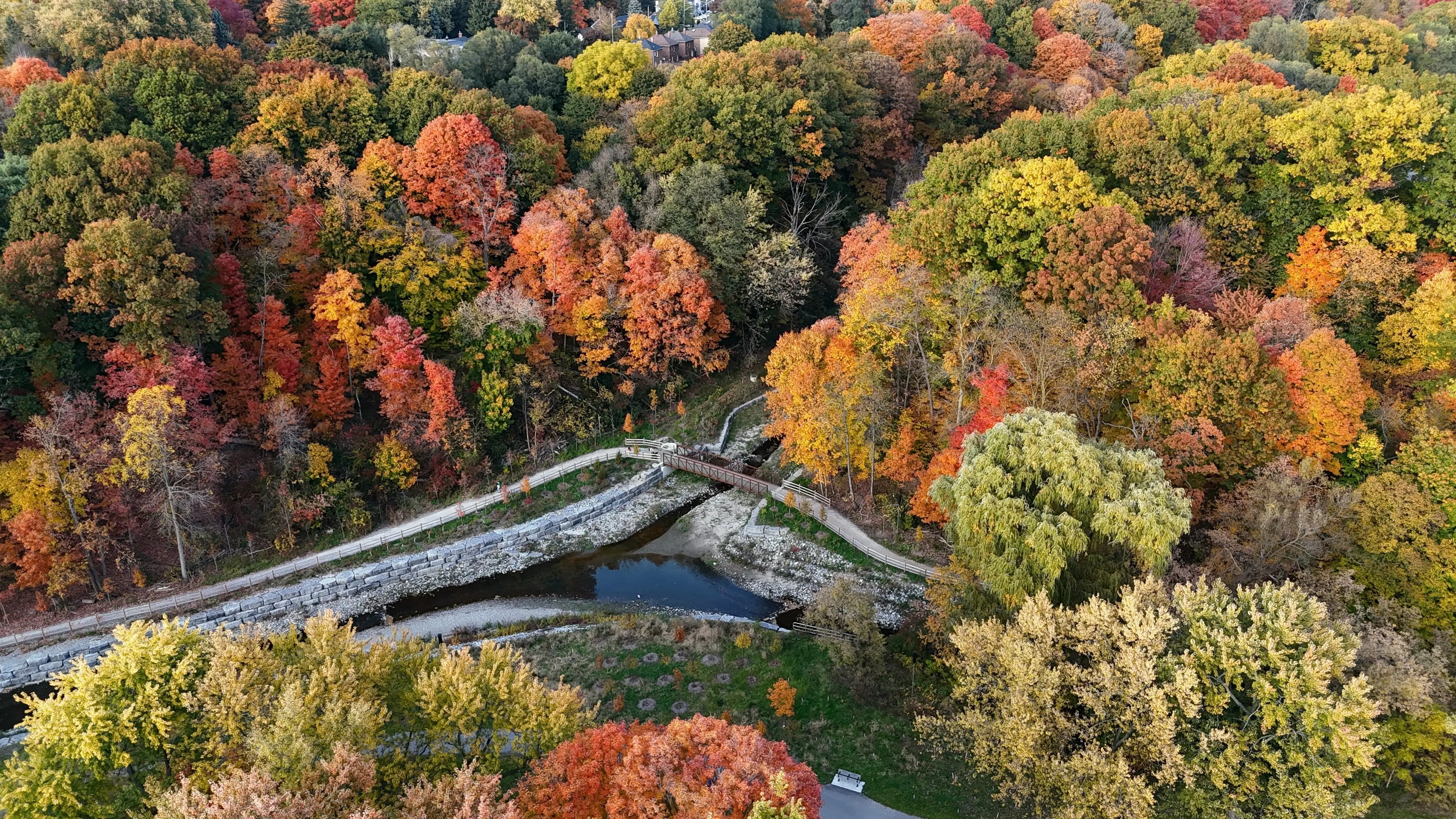 toronto-on-taylor-creek-new-bridge.webp