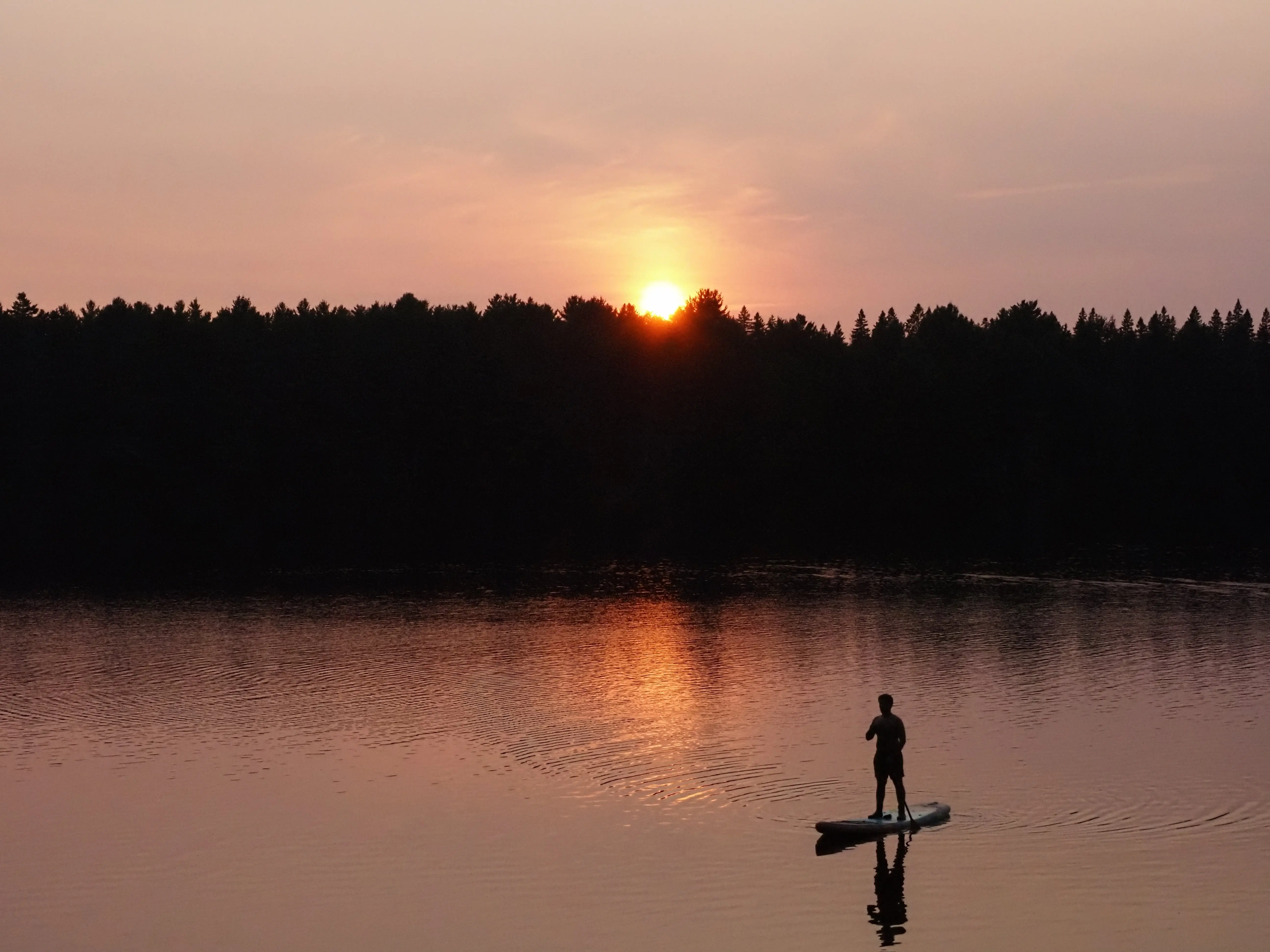 algonquin-on-paddle-shadow.webp